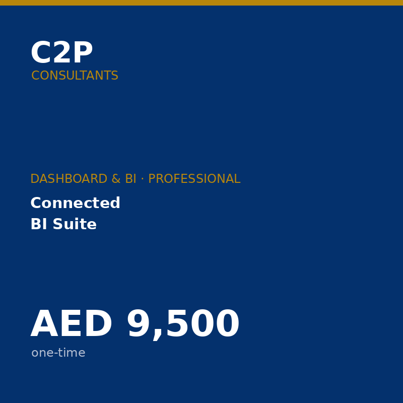 C2P Dashboard & BI — Professional Package (Full Payment)